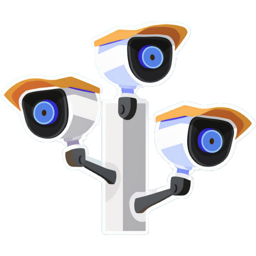 Cam